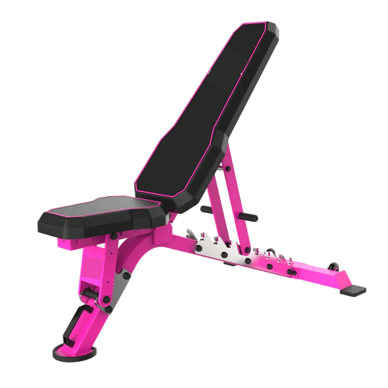 Force Fitness Commercial Workout Fid Bench (Pink) — bench available from Gym Machines South Africa