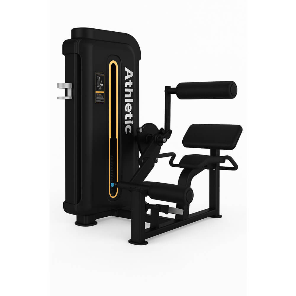 Performance Performance – Back Extension (110kg) — piece of gym equipment available from Gym Machines South Africa