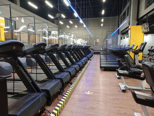 Row of treadmills and cardio machines in a modern commercial gym, illustrating commercial treadmill costs in South Africa