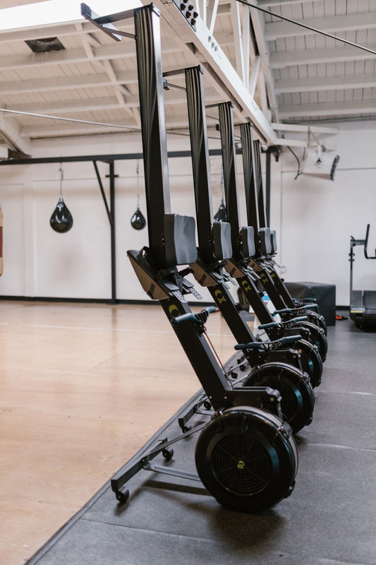 Row of rowing machines in a well-lit indoor gym, illustrating the best rowing machines available in South Africa