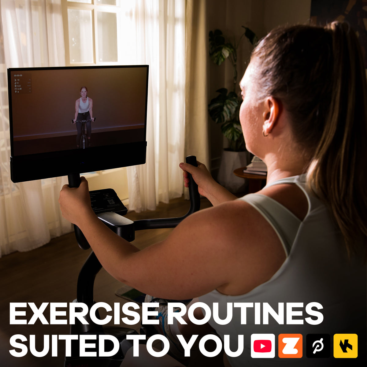 J1m Plus Recumbent Bike — rear view