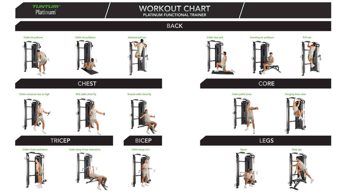 Tunturi Platinum Functional Trainer - Selectorized — alternative angle