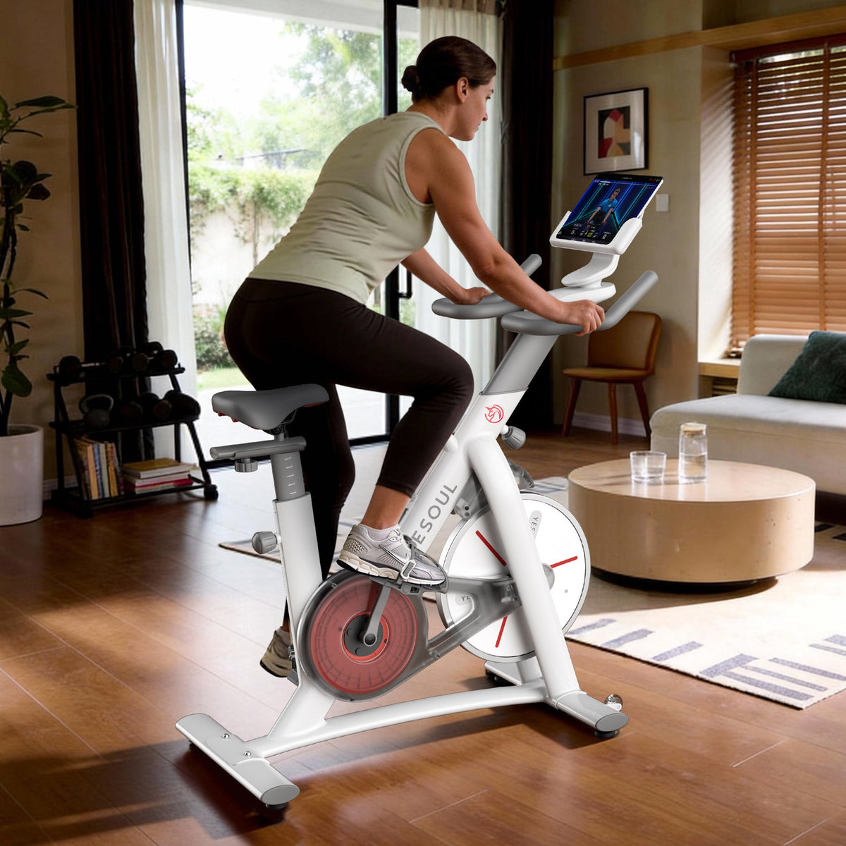 Vendor-Unknown S3 Indoor Exercise Spin Bike — alternative angle