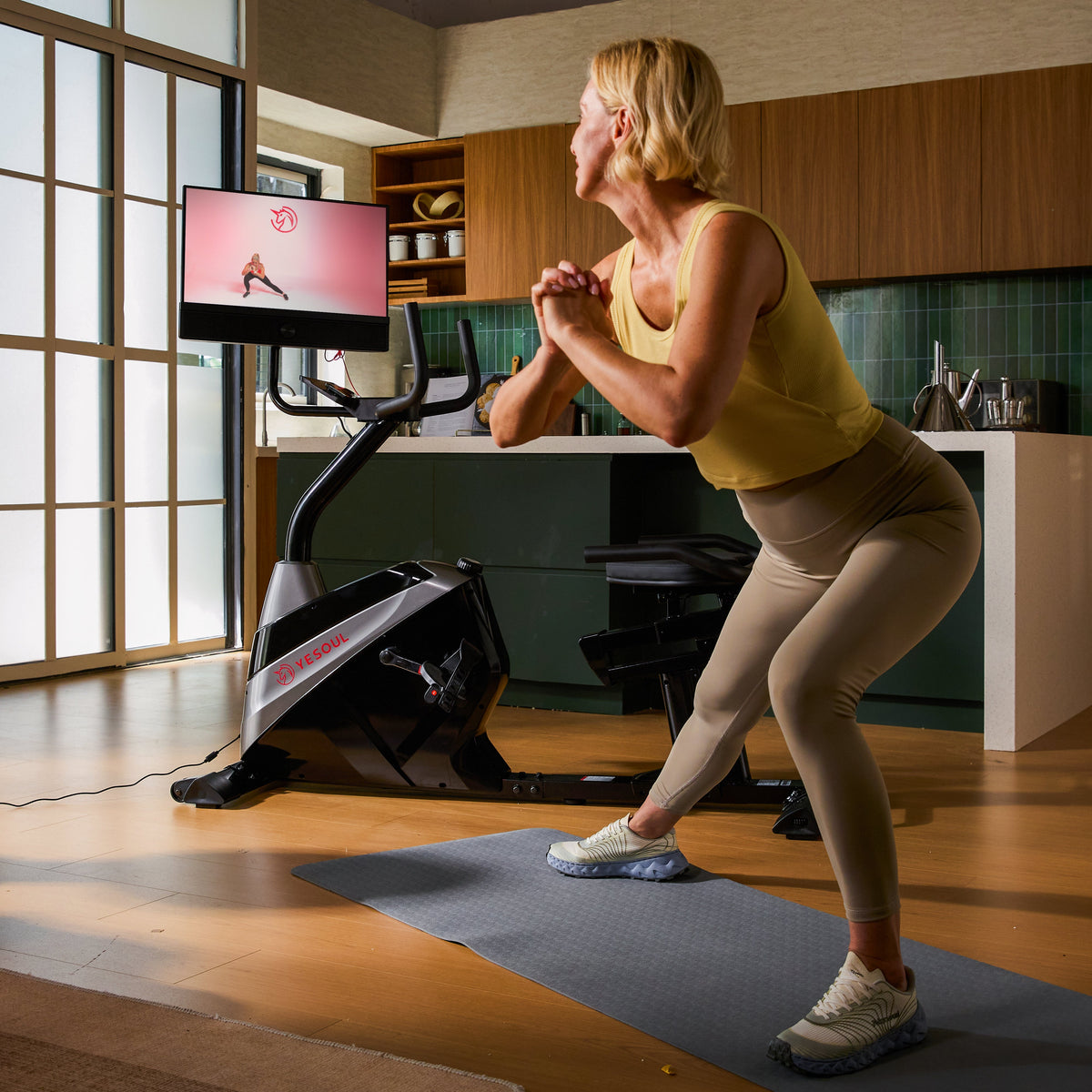J1m Plus Recumbent Bike — detail view