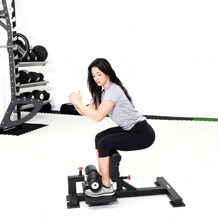 Sissy Squat Trainer — rear view