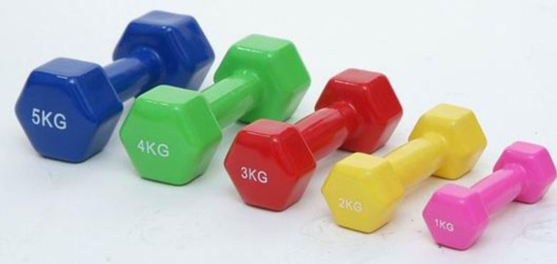 Active Active Aerobic Dumbbell Price Per Pair — dumbbell set available from Gym Machines South Africa