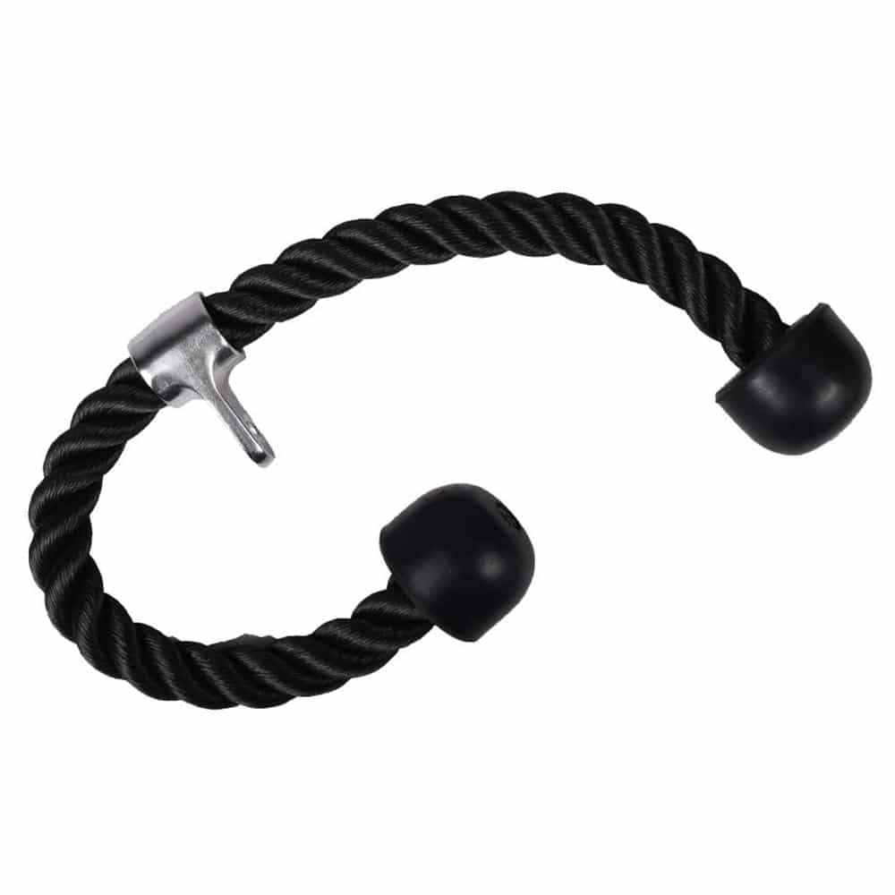 Dual Tricep Rope — rear view