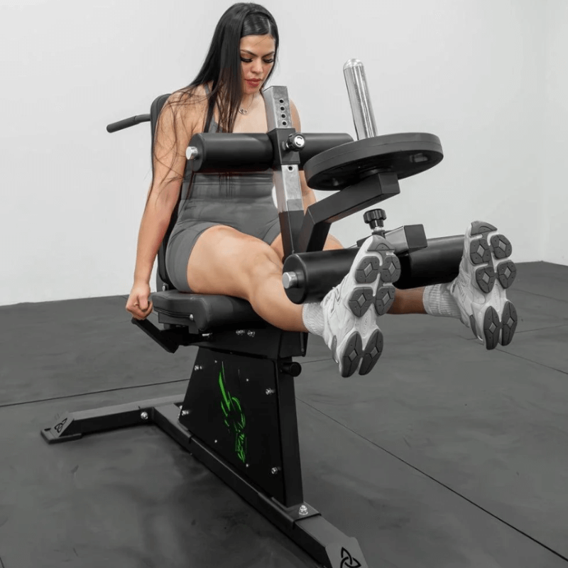 Force Fitness Pro Leg Extension Leg Curl Combo — close-up of the frame