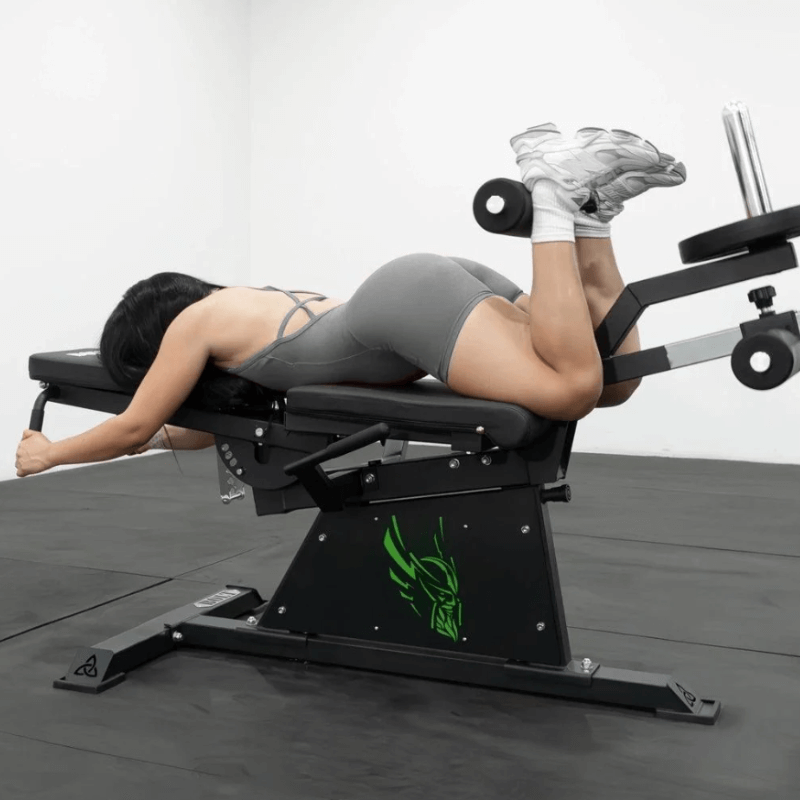 Force Fitness Pro Leg Extension Leg Curl Combo — rear view