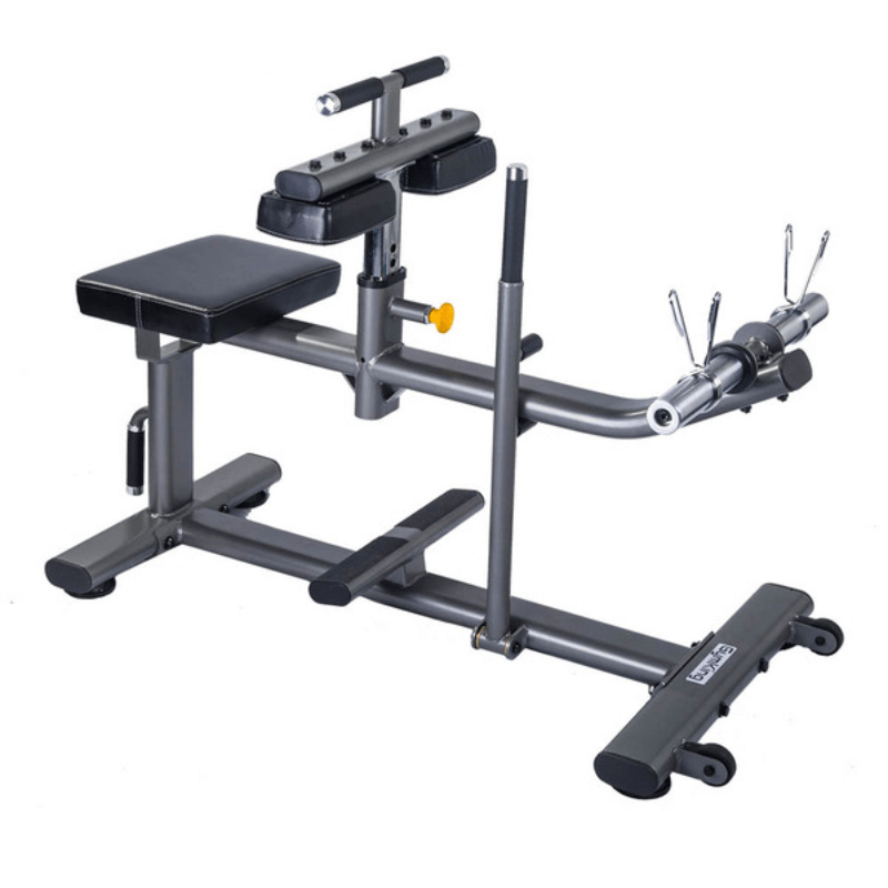 Force Fitness Elite Commercial Seated Calf Raise Machine — strength machine available from Gym Machines South Africa