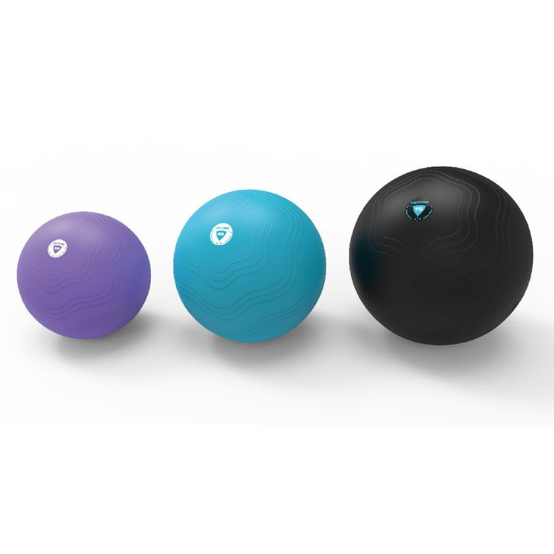 LivePro LivePro Aerobic Gym Ball — exercise ball available from Gym Machines South Africa