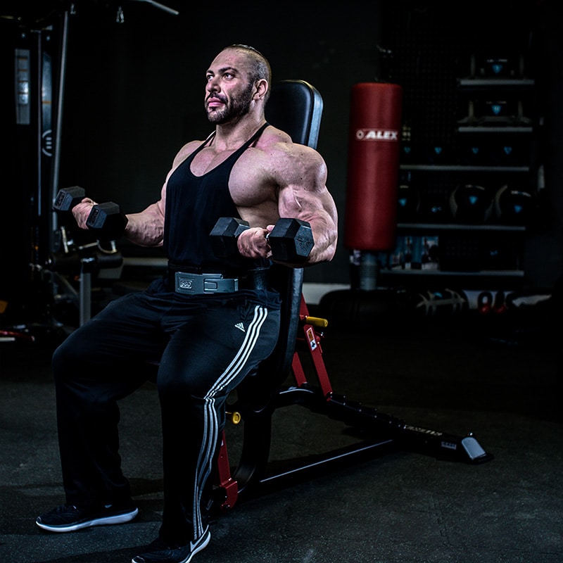 Impulse Fitness Impulse Sl7011 Sterling Multi Adjustable Gym Bench — detail view