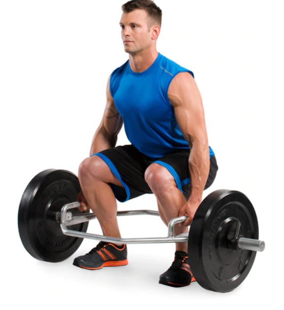 Trap / Deadlift / Shrug / Squat Bar — rear view