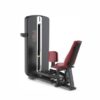 Active Active Flow Lat Pulldown & Seated Row — rear view