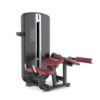 Active Active Flow Leg Extension & Leg Curl — close-up of the frame