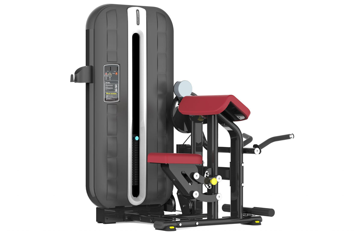 Active Active Flow Biceps & Triceps — piece of gym equipment available from Gym Machines South Africa