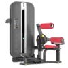 Active Active Flow Biceps & Triceps — in use