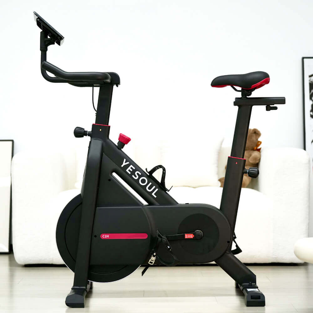 C1a Magnetic Spin Bike — side view