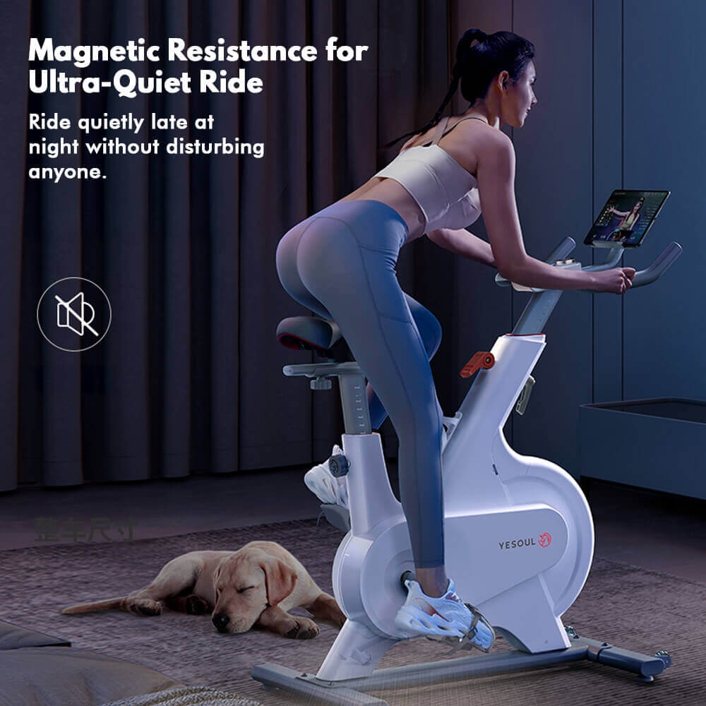 M1p Spin Bike — detail view
