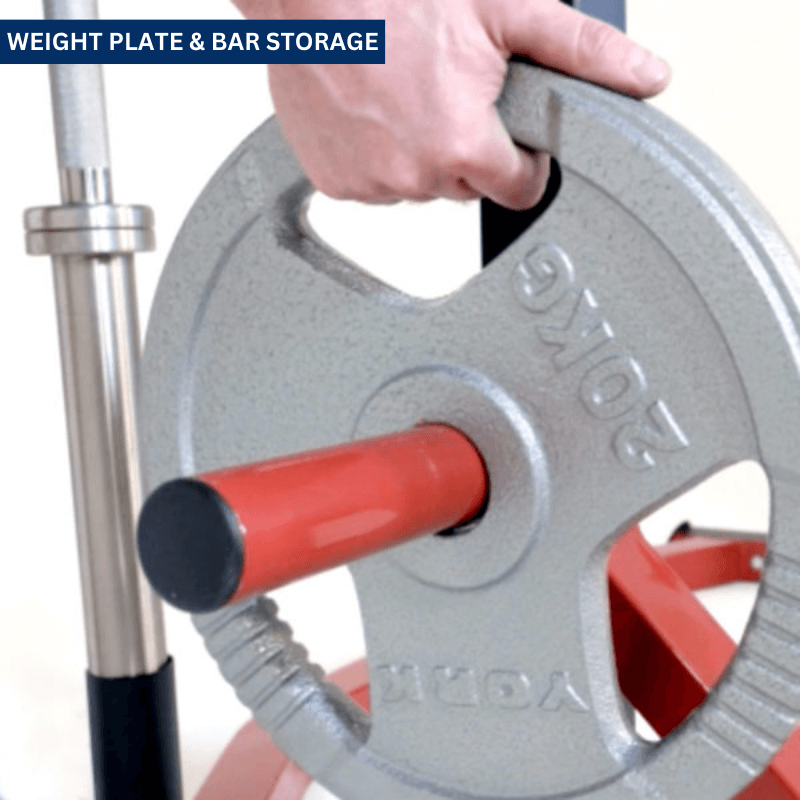 Delta Utility Half Squat & Bench Rack — rear view