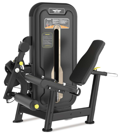 Active Active Precision Leg Extension — strength machine available from Gym Machines South Africa