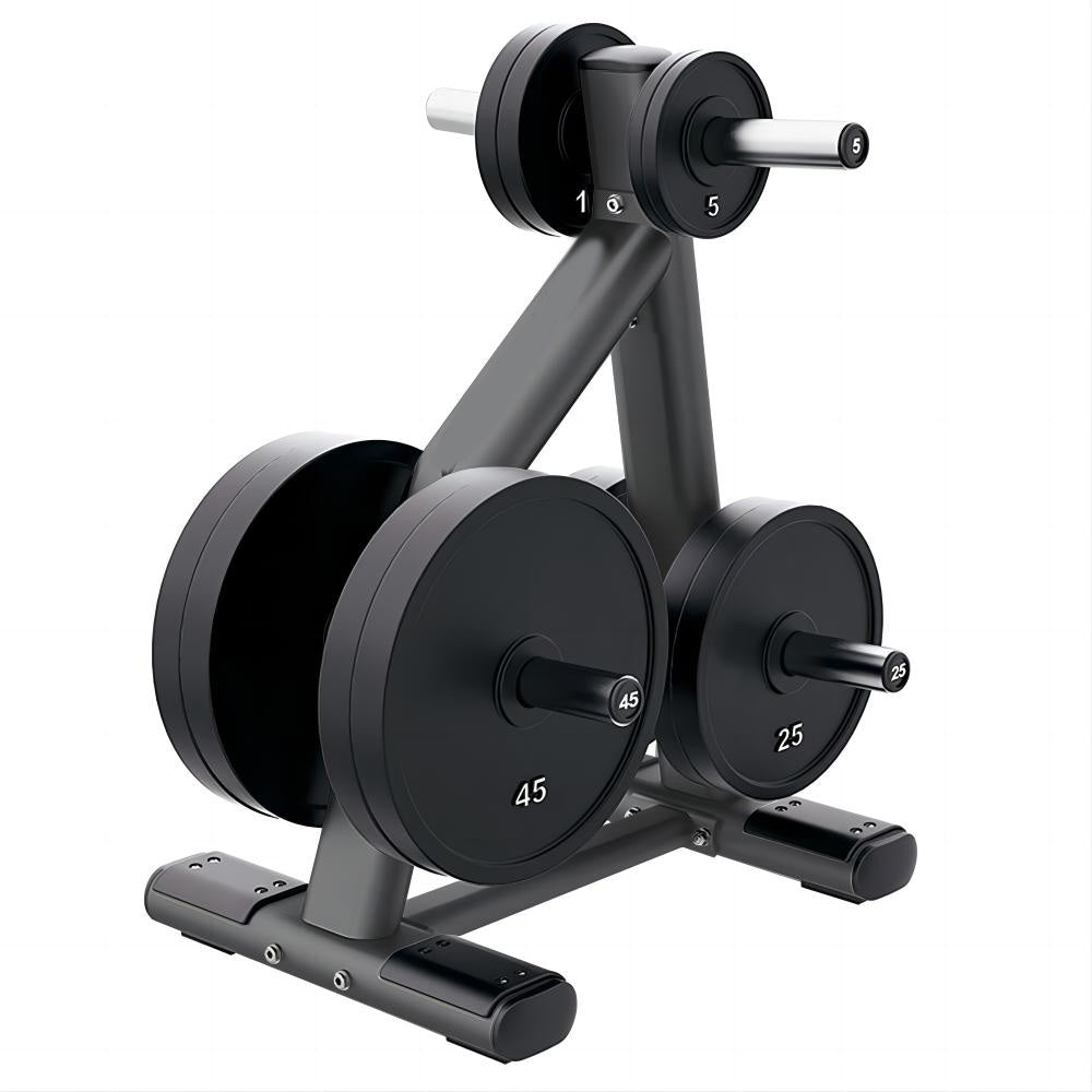 Plate Rack — rack available from Gym Machines South Africa