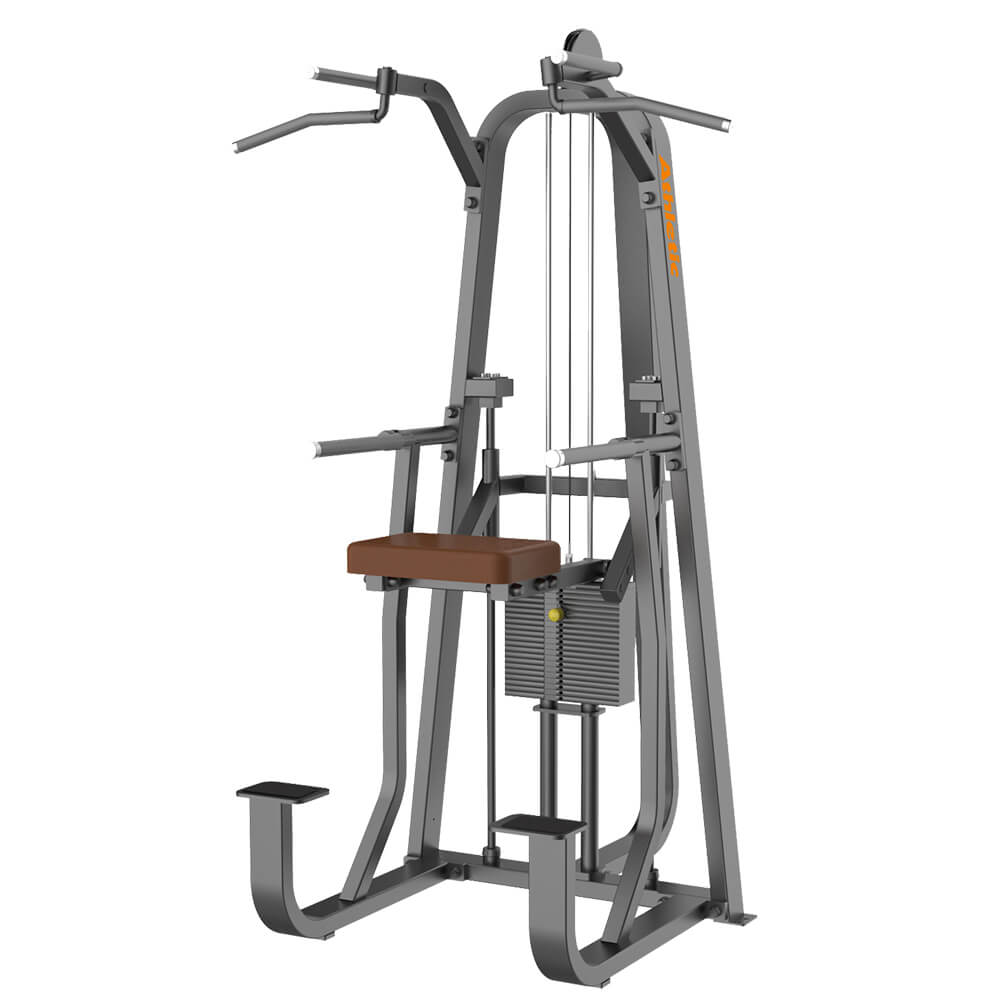 Smart Smart_dip / Chin Assist (88kg) — piece of gym equipment available from Gym Machines South Africa