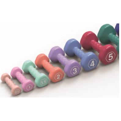 Vinyl / Neoprene Dipping Dumbbell (triangle Head) 1,5kg-PAIR — dumbbell set available from Gym Machines South Africa
